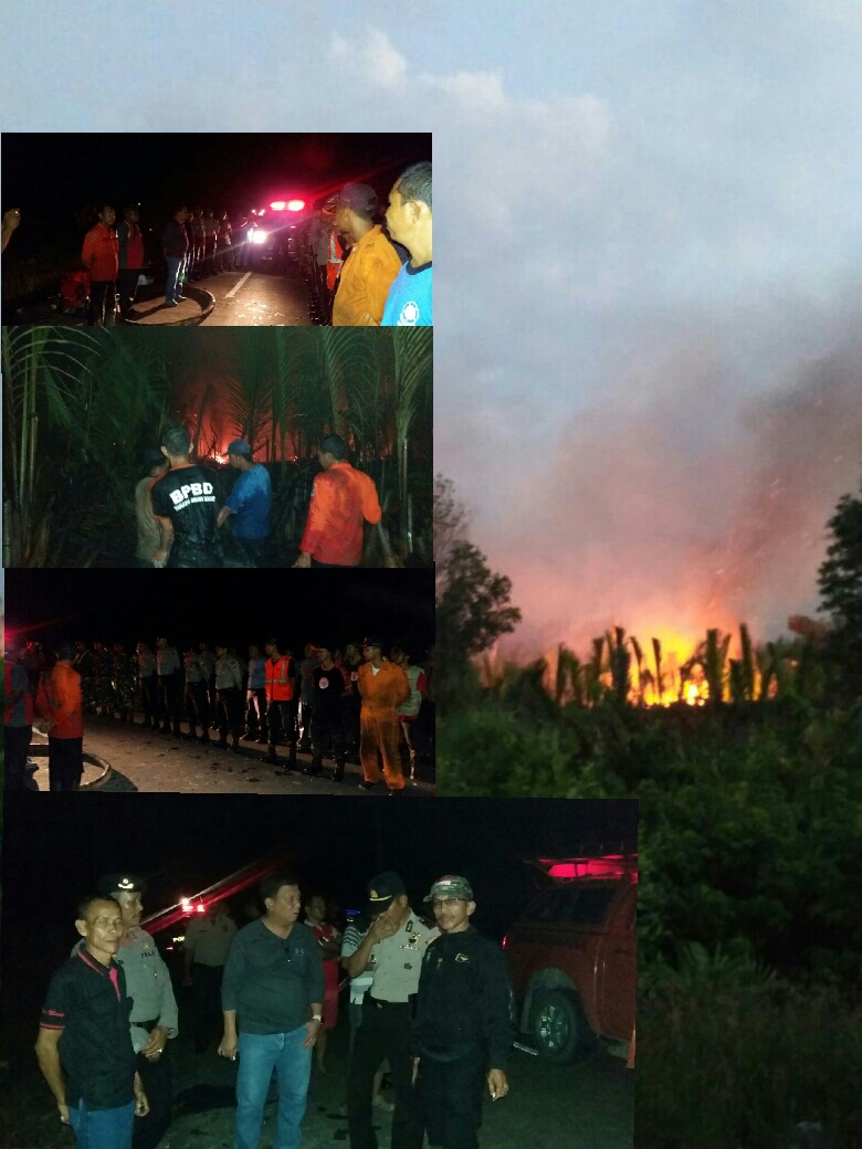 Permalink ke Breaking News: 200 Hektare Lahan di Tanjabbar Terbakar