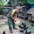 Permalink ke Ditengah Kesibukan Dinas, Babinsa Tanjung Sari Luangkan Waktu Beternak Ayam