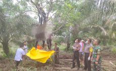 Permalink ke Ini Indentitas Korban yang Ditemukan Gantung Diri