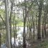 Permalink ke Ratusan Lahan Perkebunan di Batanghari Terendam Banjir