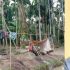 Permalink ke Desa Parit Pudin Fokuskan Pembangunan Air Bersih Untuk Warganya