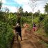 Permalink ke Miris.. !!! Kebun Warga Sudah Dijadikan Jalan, Renah Pemetik Sering Jadi Jualan Politik Para Anggota DPRD Kerinci