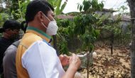 Permalink ke Apresiasi Cawagub Syafril Nursal Melihat Peternakan Itik di Desa Koto Majidin Mudik