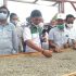 Permalink ke Cawagub Syafril Nursal Lihat Proses Produksi Kopi di Desa Sungai Lintang, Kayu Aro Barat