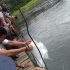 Permalink ke Bersama Warga, Cawagub Syafril Nursal Menebarkan Benih Ikan Semah di Sungai Batang Merangin