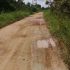 Permalink ke Warga Desa Tebat Patah Muaro Jambi Dambakan Jalan Aspal