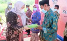 Permalink ke Setelah Presiden Jokowi, Bupati Masnah Redistribusi Sertifikat Tanah Objek Reforma Agraria untuk Warganya