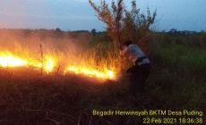 Permalink ke Areal Perkebunan PT. SMP Terbakar, Kapolres Muaro Jambi Turun Tangan Padamkan Api 