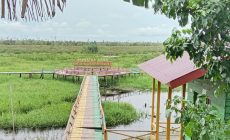 Permalink ke Pertahankan Icon Desa, Kades Ilham Janji  Pulihkan Kembi Tempat Wisata Jembatan Karindangan