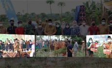 Permalink ke Bupati Anwar Sadat Panen Raya Cabai Merah di Desa Lubuk Terentang