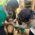 Permalink ke PMK di Batanghari Tulari ke-203 Ekor Hewan Ternak