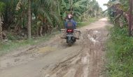 Permalink ke Akses Jalan Penghubung Dua Dusun di Kecamatan Bram Itam Rusak Parah