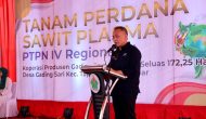 Permalink ke PTPN IV PalmCo Targetkan 2,1 Juta Bibit Unggul Diserap Petani Hingga 2024, Begini strateginya