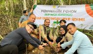 Permalink ke Peringati Hari Lingkungan Hidup Sedunia, PHR Zona 1 Tanam Lebih dari 4.000 Pohon