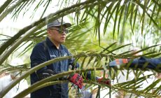 Permalink ke Siaga Hadapi Kemarau, PTPN IV PalmCo Perkuat Deteksi Dini Karhutla hingga Strategi Agronomi Permalink ke Siaga Hadapi Kemarau, PTPN IV PalmCo Perkuat Deteksi Dini Karhutla hingga Strategi Agronomi