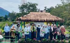 Permalink ke Ketahanan Pangan, IKBI PTPN Sebar Ikan Nila di kolam Stunting