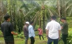 Permalink ke Manajemen PTPN IV Regional IV Pastikan Jaga Keseimbangan Alam